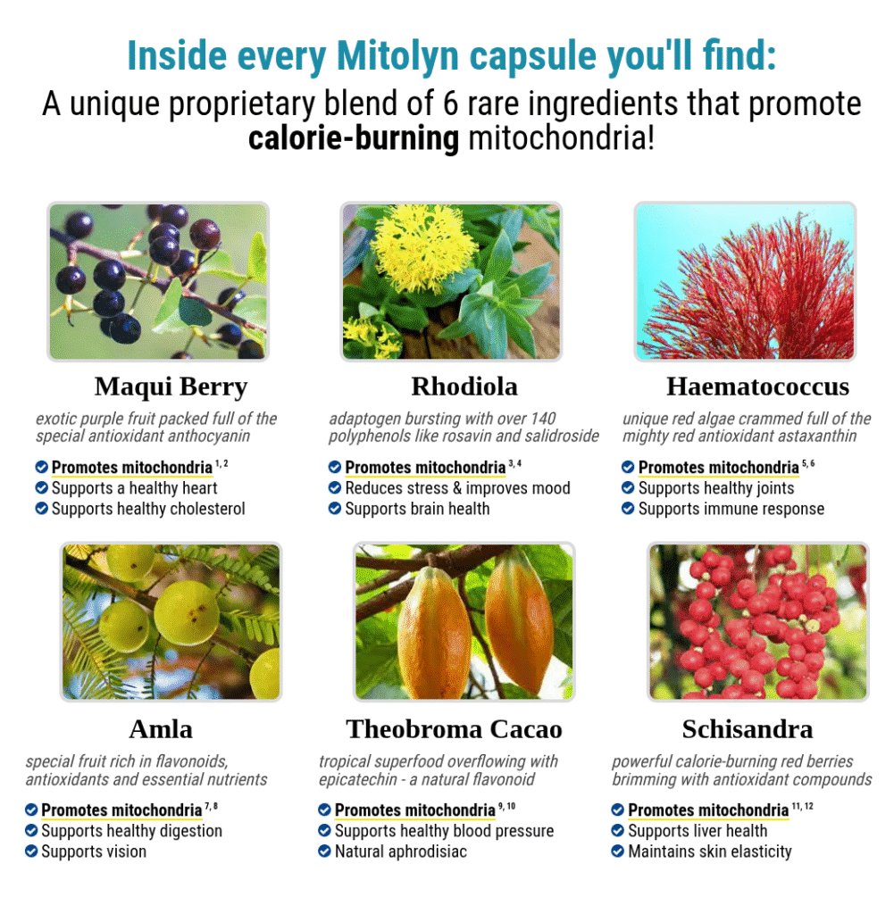 Mitolyn Ingredients